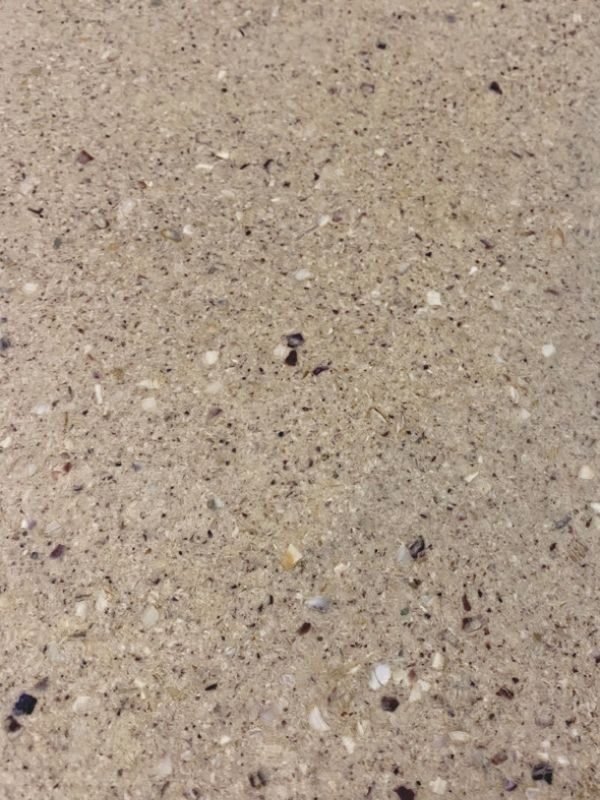 Texture a mare