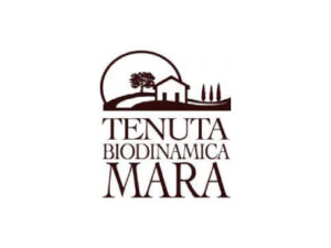 Partner Oltremateria: Superfici continue ecologiche