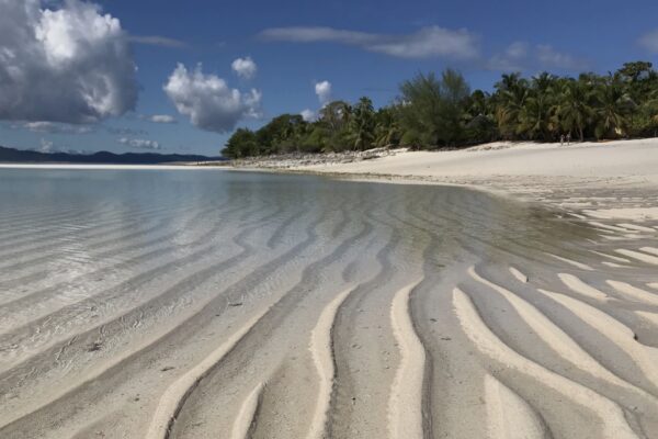 Green Life Oltremateria