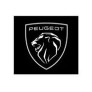 Peugeot-e1750254440205-1-1-e1750255726511-1-e1750255818228-1-e1750255890289